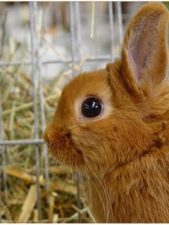 Other Wallpapers 0727